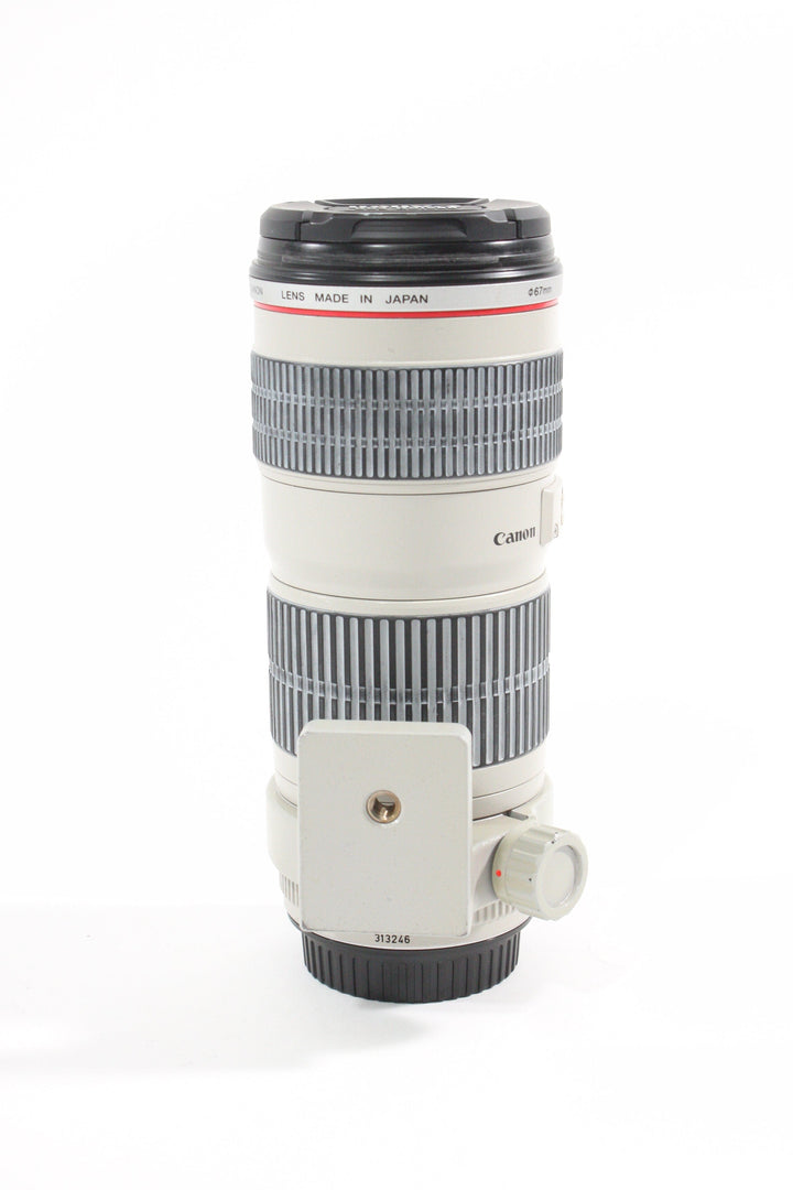 Canon EF 70-200mm F4 L USM Lenses Small Format - Canon EOS Mount Lenses - Canon EF Full Frame Lenses Canon 313246