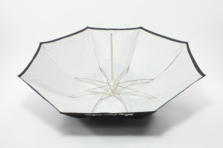 Dynalite 1000 - 2 Strobe Kit with Stands and Umbrellas Studio Lighting and Equipment Dynalite 117-3115