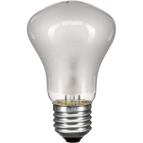 Elinchrom Modeling Lamp - 100 watts/90 volts - for EL250, EL250C Lamps and Bulbs Elinchrom EL23006