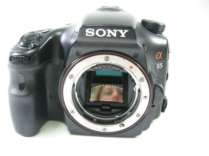 Sony A65 SLT HD AVCHD 24.3mp Digital SLR Body only Shutter#23,275 Digital Cameras - Digital SLR Cameras Sony 2288840