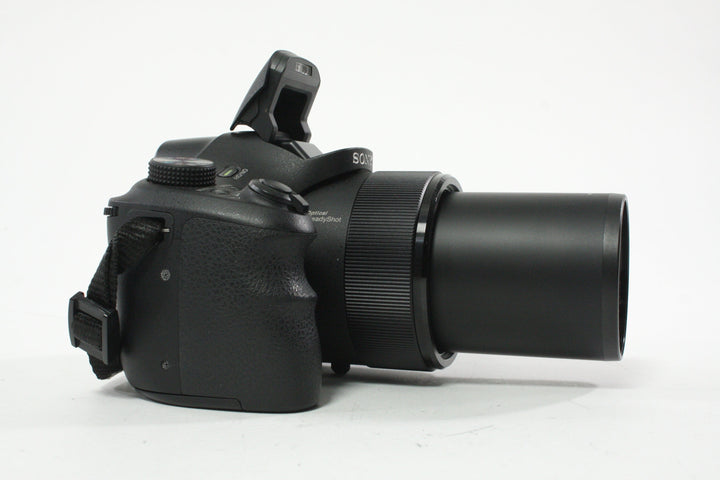 Sony Cyber-shot DSC-HX300 Digital Camera 50x Zoom 20.4mp – Camera Exchange