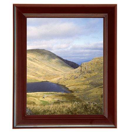 MCS Step Walnut 16X20 Frames MCS MCS69319