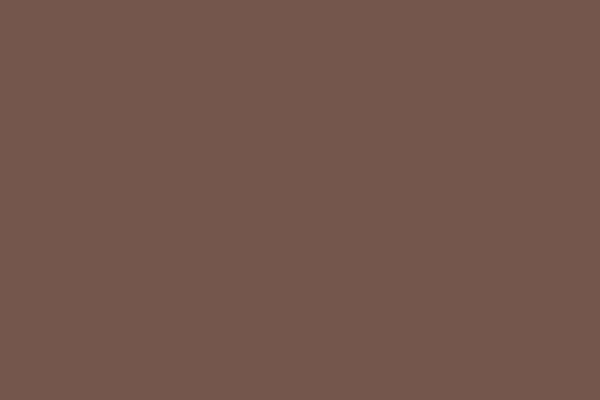 Superior 107in x 36' Long Coco Brown Seamless on Core Backdrops and Stands Superior SUP20CS