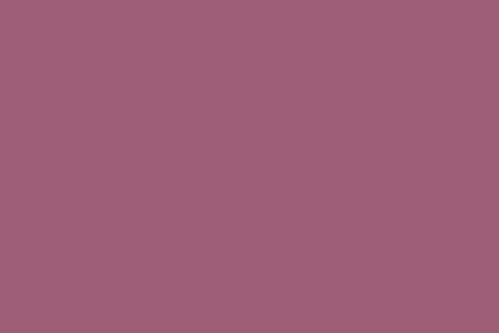 Superior 107in x 36' Long Plum Seamless on Core Backdrops and Stands Superior SUP62CS