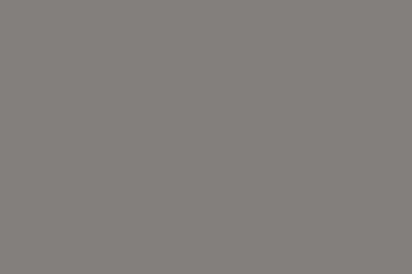 Superior 53″ Wide X 36′ Long Dove Gray Seamless Coreless Backdrops and Stands Superior SUP4353